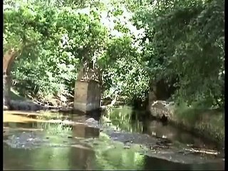 Isla Margarita-Ribera del Hueznar-Sierra Norte Sevilla