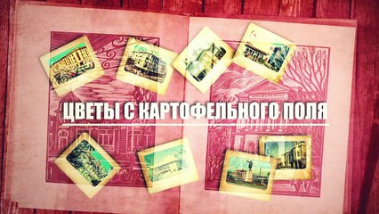 Мой город Томск