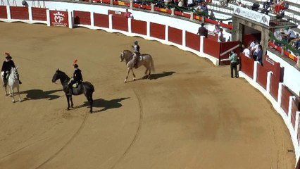 Resumen de la 2ª de abono San Fernándo 2015