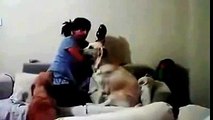 Anne çocuğu dövüyor köpek kurtarıyor