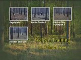 Golden Retriever - Welpen Training im Wald - 20.02.2009