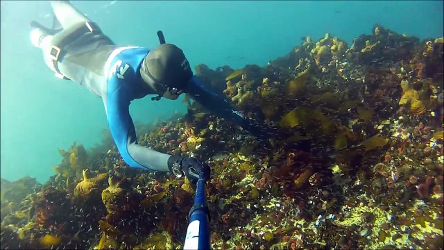 Freediving Insane Caves (The Pinnacle - Freedive Atlantic)