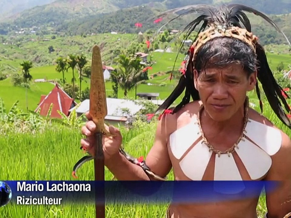 Philippines: les rizières en terrasses face aux périls de la modernité