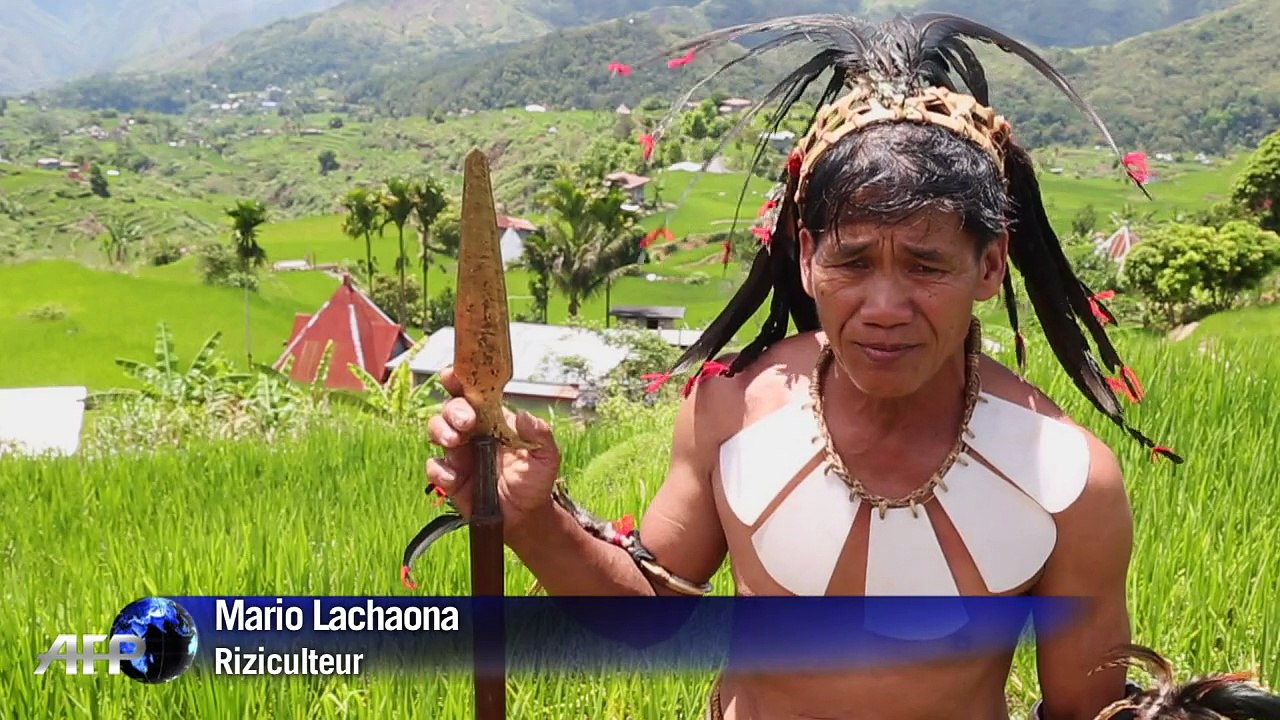 Philippines: les rizières en terrasses menacées par la modernité