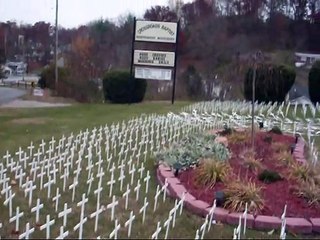 Crosses erected for aborted babies were destroyed