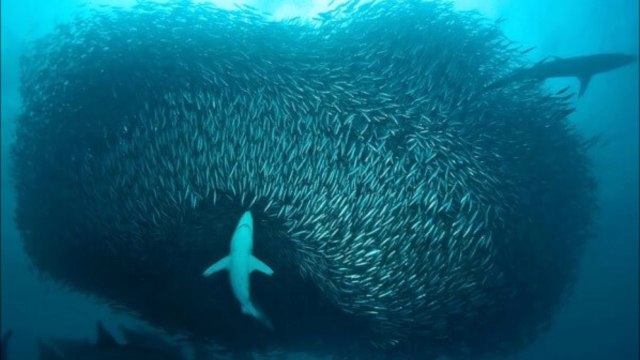 Phénomènes naturels incroyables - compilation photo