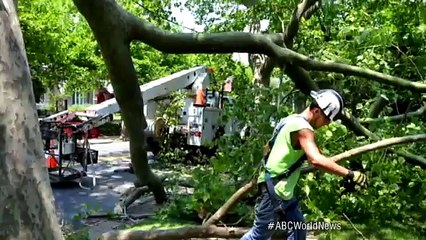 Extreme Heat and Thunderstorms Wreak Havoc Across America