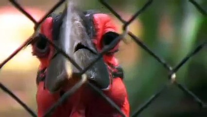 Pretoria Zoo Pretoria Attraction Gauteng