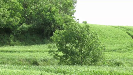 À vélo le long de la Rigole de la plaine, Revel
