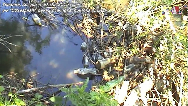 Украина, Коломыя, загрязнение реки Косачивка, реки Радыловка 30. 05. 2015 г .