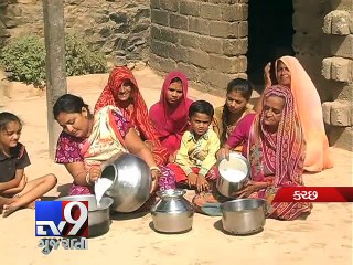 Why ups and downs in milk price would not affect people of Dhokla village - Tv9 Gujarati