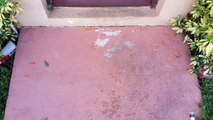 West Palm Beach Commercial Epoxy and Paint Removal Power wash - Pressure clean 561-907-9541
