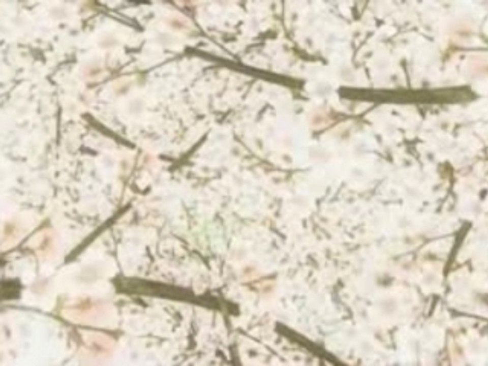 Hitohira - Opening