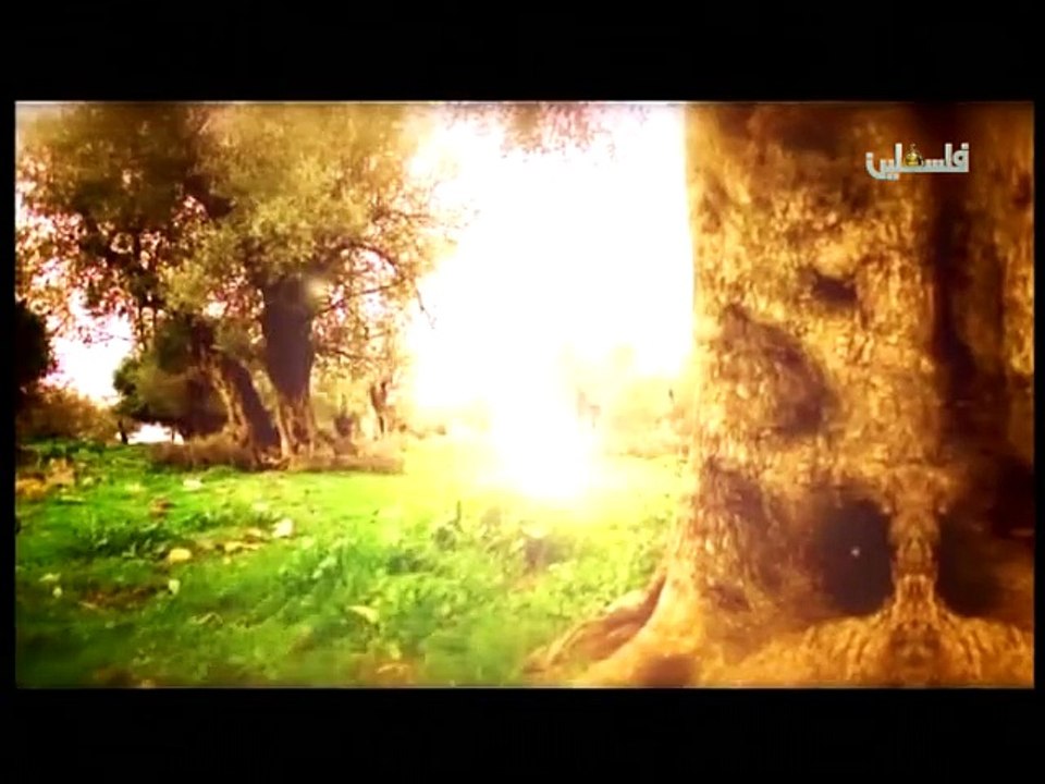 فلسطين هذا الصباح ج1 - 31/5/2015
