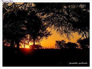 The corrs (silver strand)