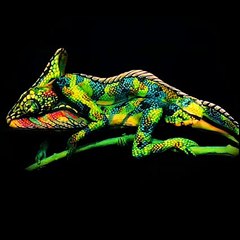 sonuna kadar izlemelisiniz