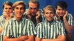 The Beach Boys - Pitter patter