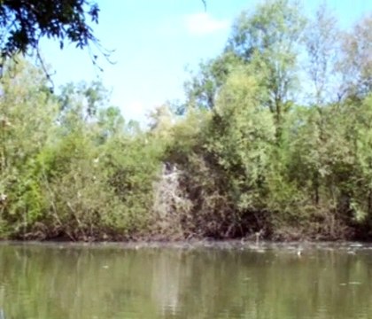 Balades vélo autour d'Angers