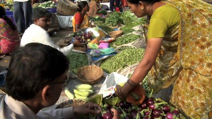 Food Security in a Changing Climate