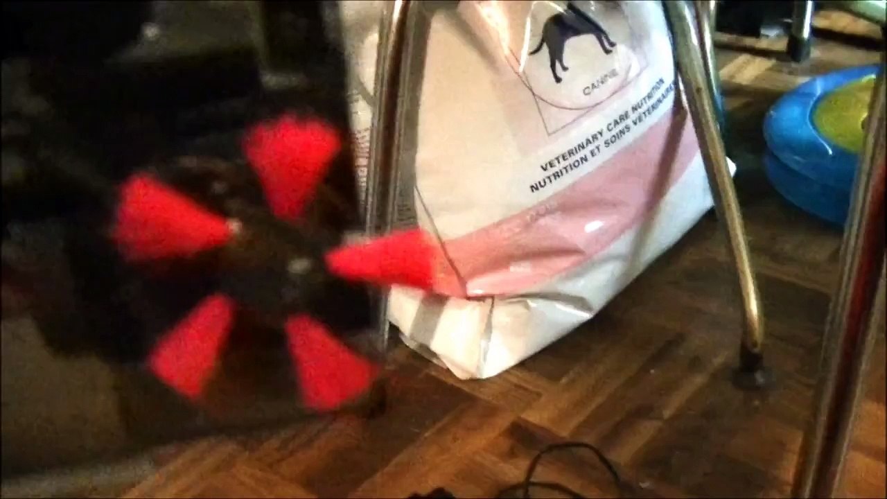 Shark Pro Cordless Sweeper Vacuum #vacuums