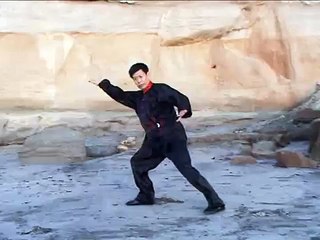 Yang Tai Chi Taiji Fast Form