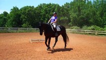 Training level. Walk/trot/serpentines. Contact for the 7th time! Training level S4 dressage