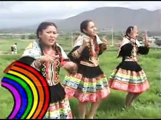 AMAPOLITAS DE ESPINAR