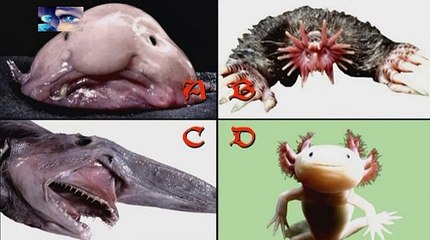 Testez votre cerveau - Le paranormal