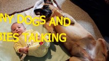 Funny dogs and babies talking Cute dog & baby compilation   Funny Baby Videos