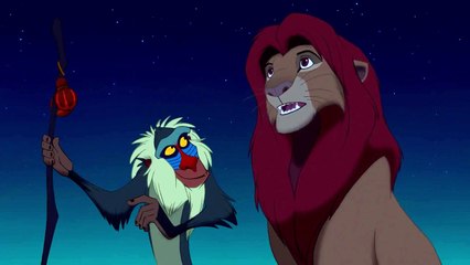 Il Re Leone - il passato