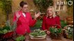 Holiday decorate with succulents: Central Texas Gardener