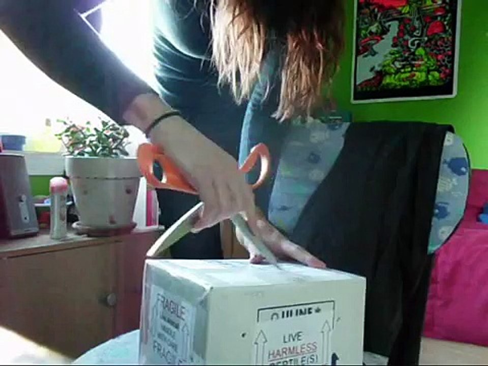 Unboxing Spider ball python