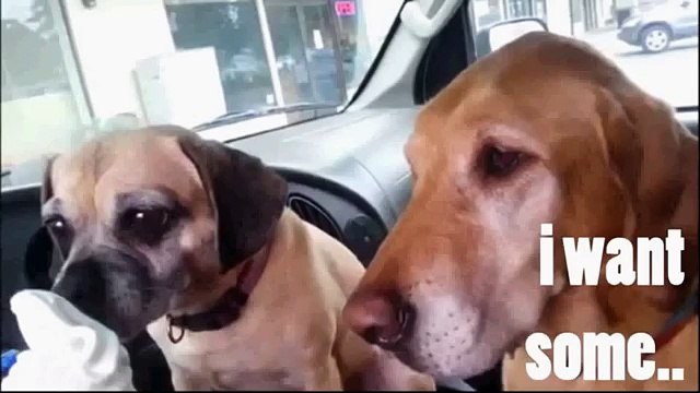 Едим мороженое по очереди