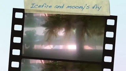 Ice fire and moony's fry