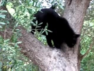 Film - java vacances 2006