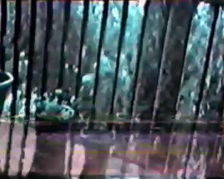 Nothing else matters [original 1994]