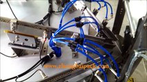Automatic screw packaging machine with counting systems for hardware fastener