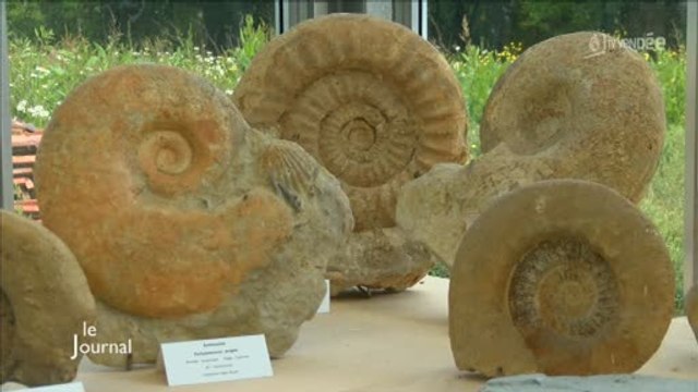 Géologie : Découverte du « Jardin de Roches » à Beautour