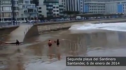 If you see a huge wave coming.. For goodness sake, run....... please