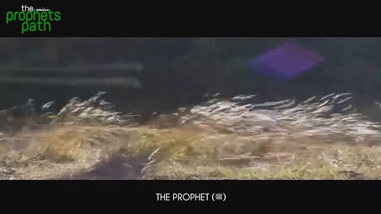 Maintaining Your Imaan