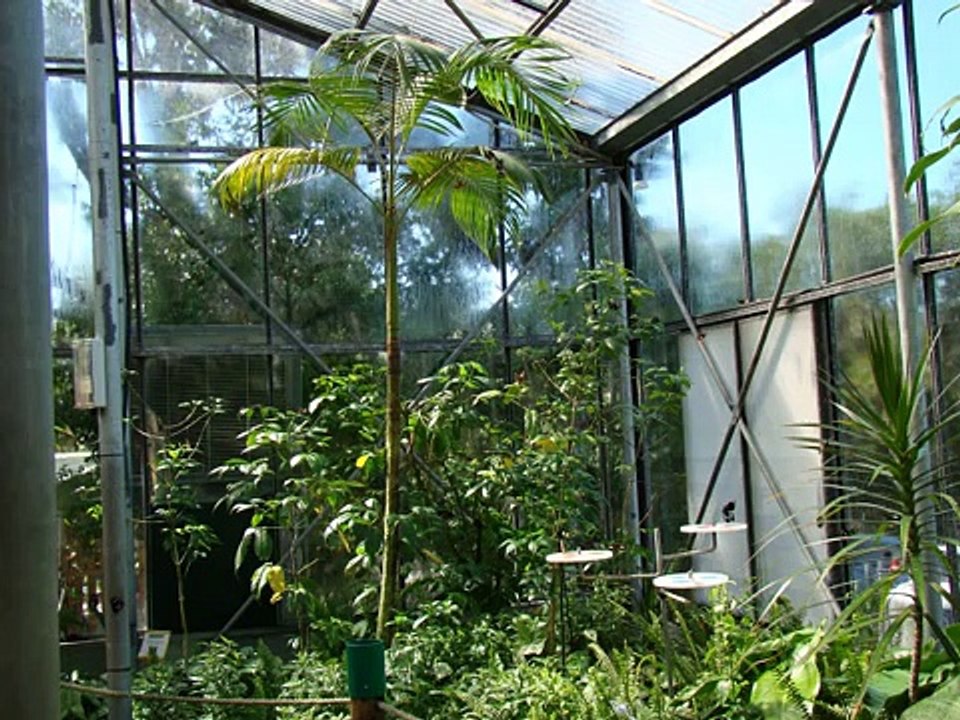 Butterfly House Pictorial - Coffs Harbour