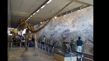 Dinosaur National Monument, Utah - Colorado