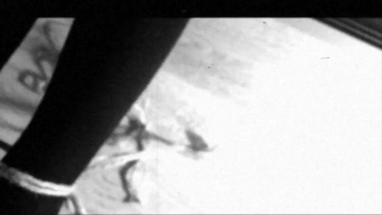 Factice Factory Wortschatz