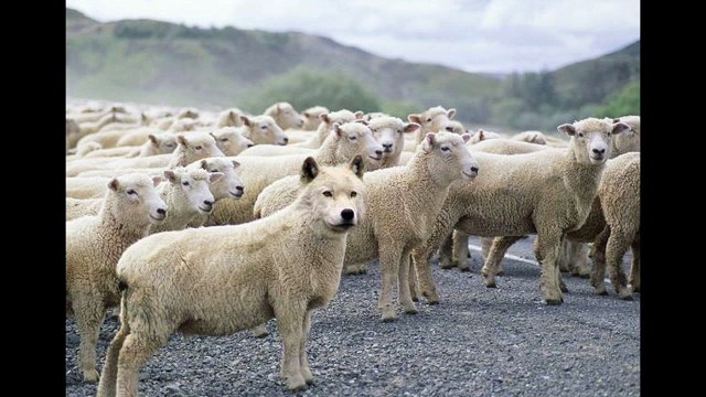 S. Lewis Johnson - On How To Treat False Teachers