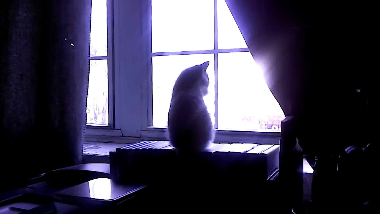 Libby staring out the window