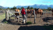 Gauchos argentinos / Caballos criollos en El Calafate / Argentine horses, cowboy, turismo, travel
