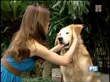 Korina, Sharon, Toni show off their dogs