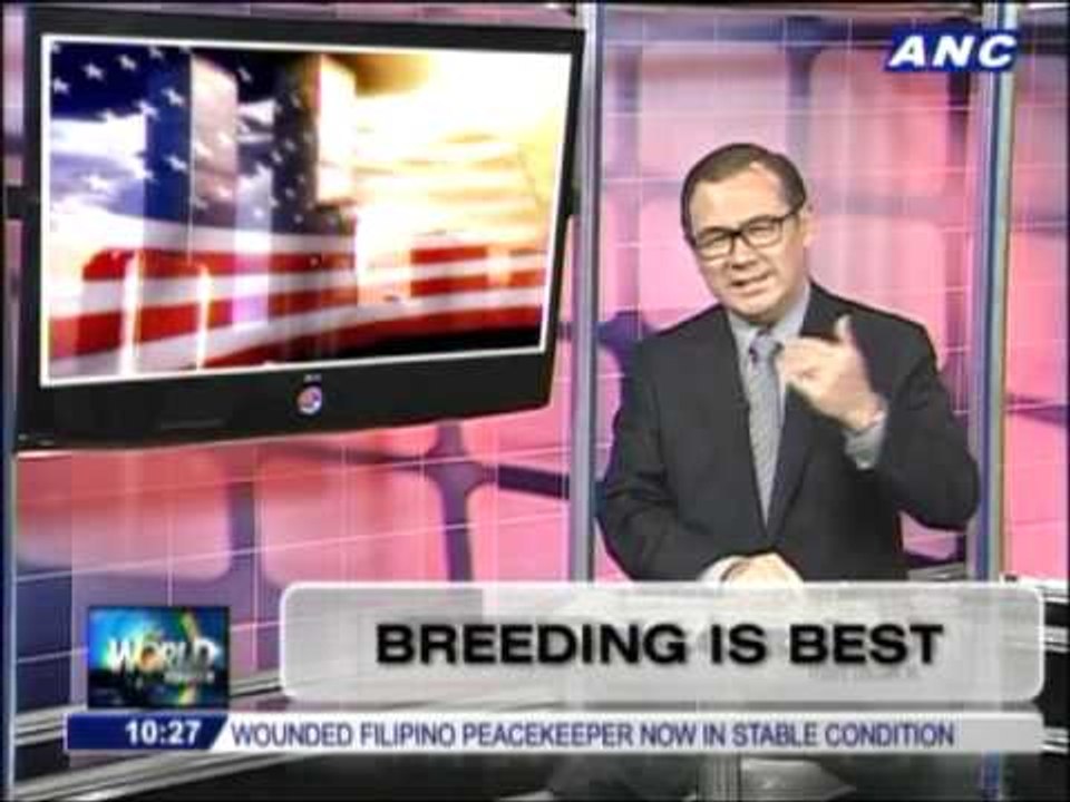 Teditorial  Breeding is best