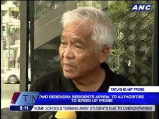 Two Serendra residents want faster probe