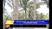 Aquino signs law regulating cutting of coconut trees